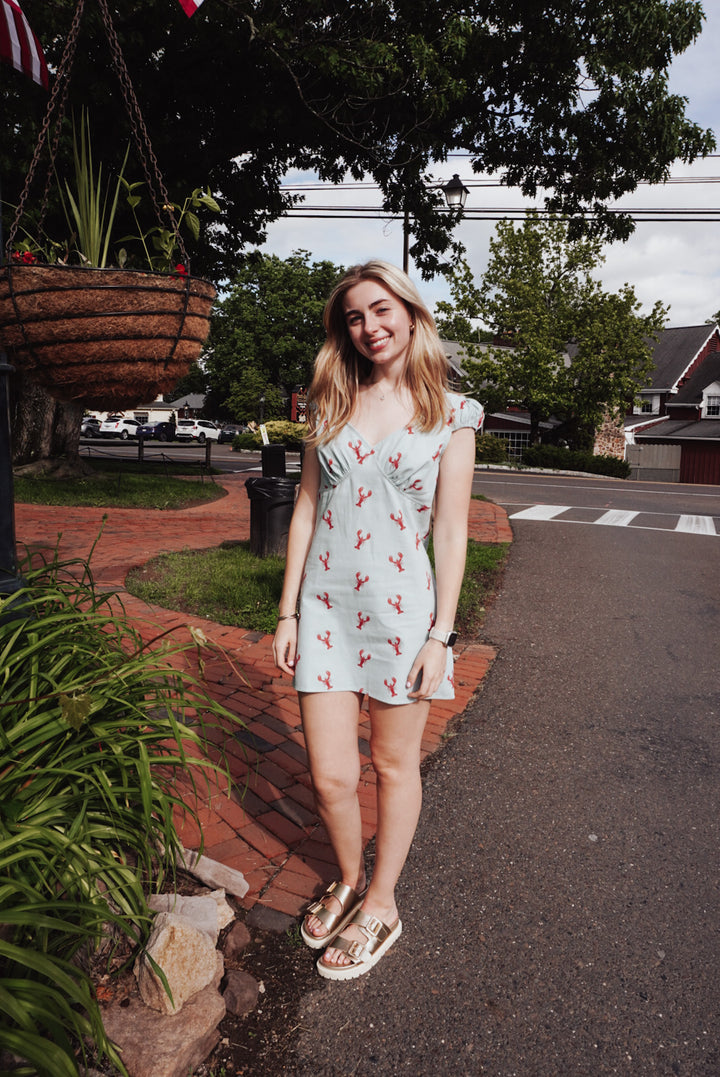 I Lobster You Dress