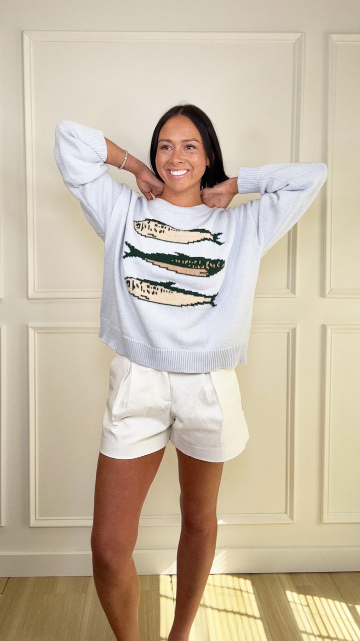Seaside Graphic Sweater Top